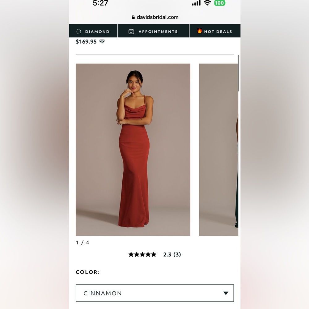 David’s Bridal Bridesmaid Dress - Cinnamon
